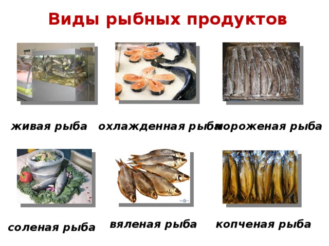 Виды рыбных продуктов живая рыба мороженая рыба охлажденная рыба  вяленая рыба копченая рыба соленая рыба 