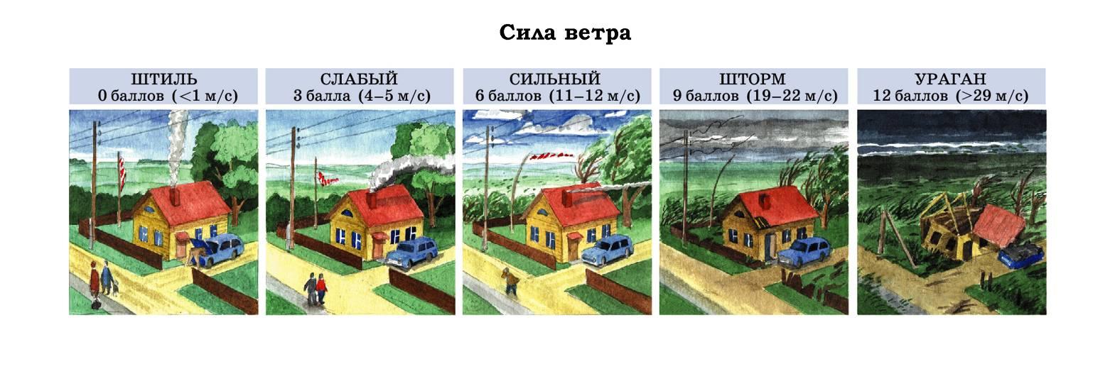 Ветер 3 м с. Сила ветра. Шкала силы ветра. Шкала силы ветра в картинках. Сила ветра для дошкольников.