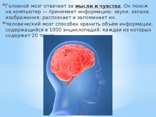 Сеть в которой выделенный компьютер содержит информацию и ресурсы предоставляя к ним доступ