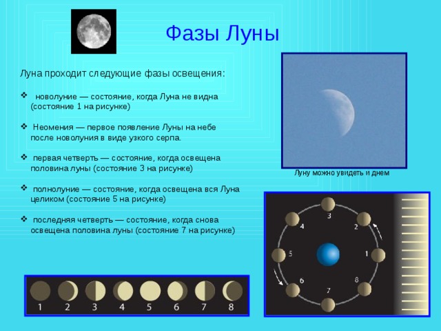 Фазы Луны Луна проходит следующие фазы освещения: новолуние — состояние, когда Луна не видна (состояние 1 на рисунке) Неомения — первое появление Луны на небе после новолуния в виде узкого серпа. первая четверть — состояние, когда освещена половина луны (состояние 3 на рисунке) полнолуние — состояние, когда освещена вся Луна целиком (состояние 5 на рисунке) последняя четверть — состояние, когда снова освещена половина луны (состояние 7 на рисунке) Луну можно увидеть и днем 