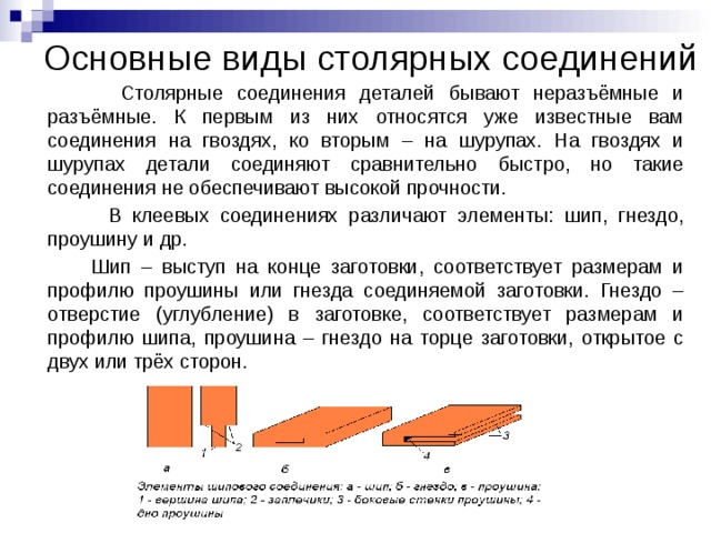 Разработка к уроку "Выделение у организмов" 10 класс
