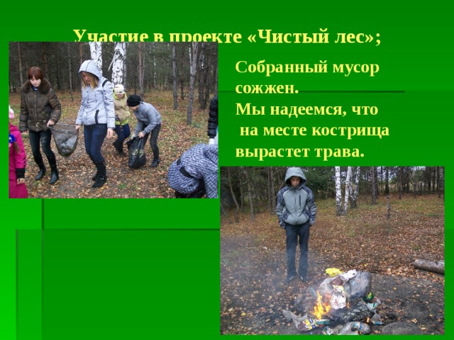 Участие в проекте «Чистый лес»; Собранный мусор сожжен. Мы надеемся, что  на месте кострища вырастет трава. 