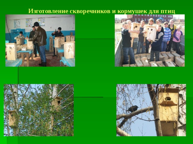 Изготовление скворечников и кормушек для птиц 