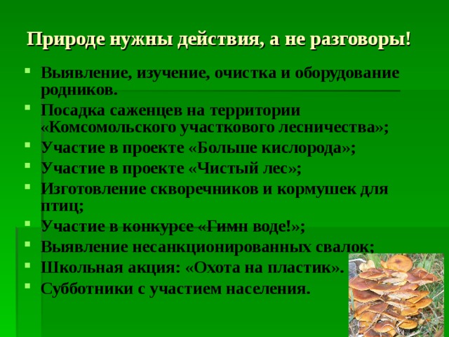 Природе нужны действия, а не разговоры! Выявление, изучение, очистка и оборудование родников. Посадка саженцев на территории «Комсомольского участкового лесничества»; Участие в проекте «Больше кислорода»; Участие в проекте «Чистый лес»; Изготовление скворечников и кормушек для птиц; Участие в конкурсе «Гимн воде!»; Выявление несанкционированных свалок; Школьная акция: «Охота на пластик». Субботники с участием населения. 