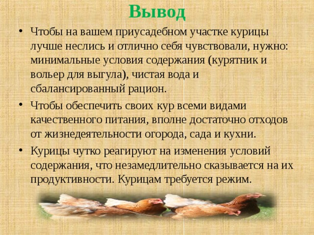  Вывод   Чтобы на вашем приусадебном участке курицы лучше неслись и отлично себя чувствовали, нужно: минимальные условия содержания (курятник и вольер для выгула), чистая вода и сбалансированный рацион. Чтобы обеспечить своих кур всеми видами качественного питания, вполне достаточно отходов от жизнедеятельности огорода, сада и кухни. Курицы чутко реагируют на изменения условий содержания, что незамедлительно сказывается на их продуктивности. Курицам требуется режим.   