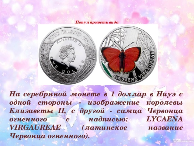   Популярность вида    На серебряной монете в 1 доллар в Ниуэ с одной стороны - изображение королевы Елизаветы II, с другой - самца Червонца огненного с надписью: LYCAENA VIRGAUREAE (латинское название Червонца огненного).    