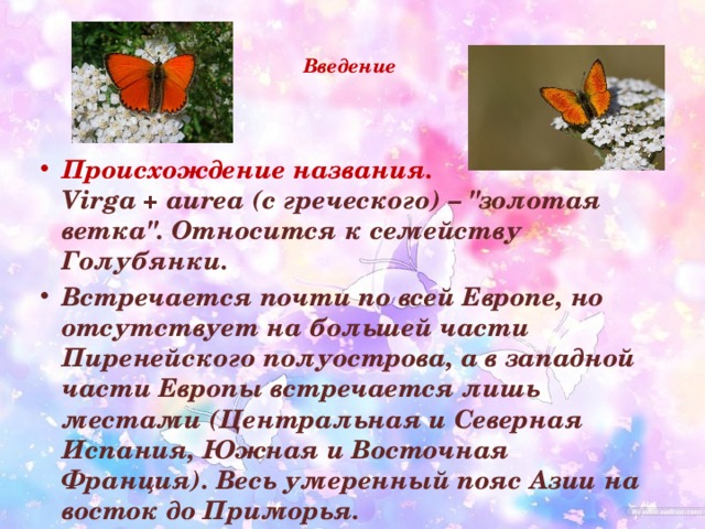 Введение    Происхождение названия. Virga + aurea (с греческого) – 
