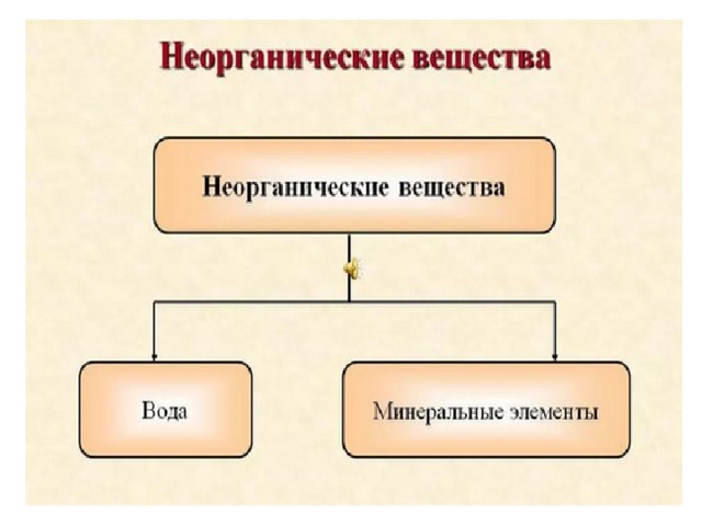 Схема обмена веществ. Органические неорганическиеещеста. Неорганические вещества клетки. Фото неорганических веществ для презентации. Неорганический обмен веществ.