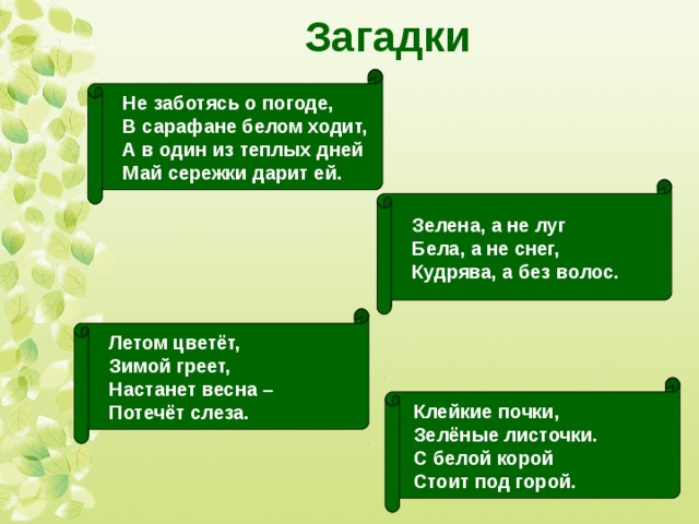 Зелена а не луг бела а не снег кудрява а без волос что это