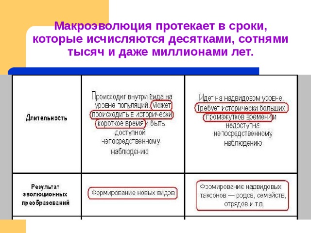 Доказательства макроэволюции