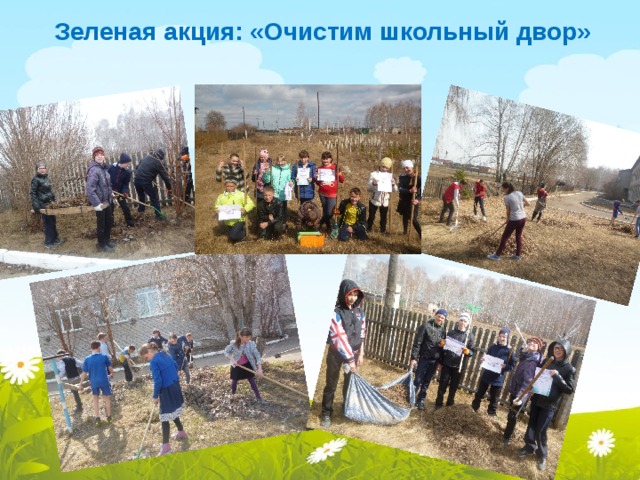 Зеленая акция: «Очистим школьный двор»  