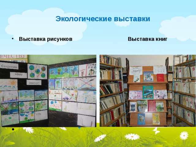 Экологические выставки Выставка рисунков Выставка книг  