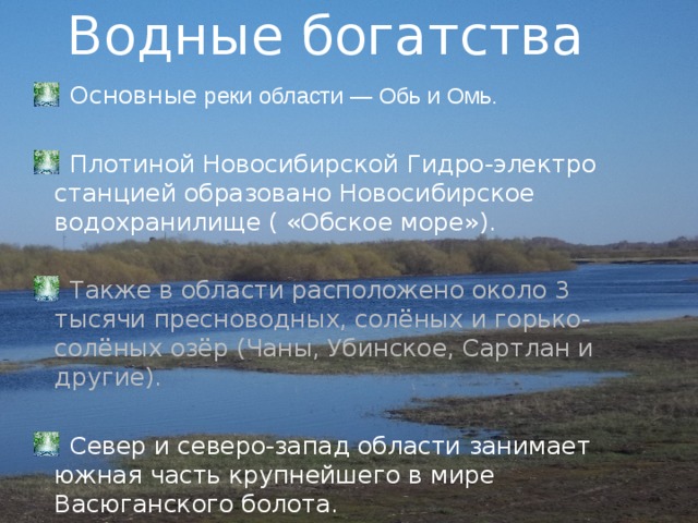 Презентация водные богатства нашего края. Водные объекты Новосибирской области 4. Водные богатства. Водные богатства Новосибирска. Рассказ о водных богаств.