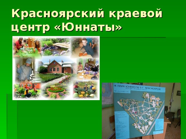 Красноярский краевой центр «Юннаты» 
