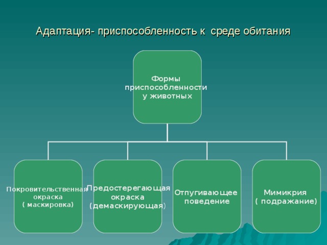 Схема классификации адаптаций