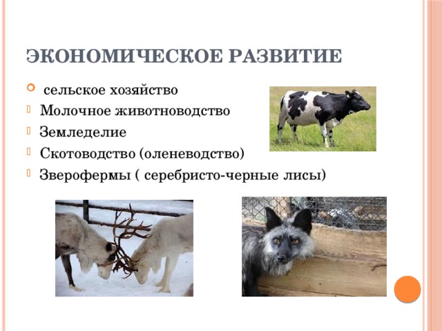 ЭКОНОМИЧЕСКОЕ РАЗВИТИЕ