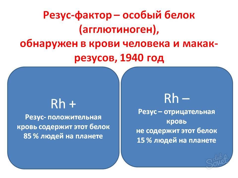 Какие существуют группы крови?" - Яндекс Кью