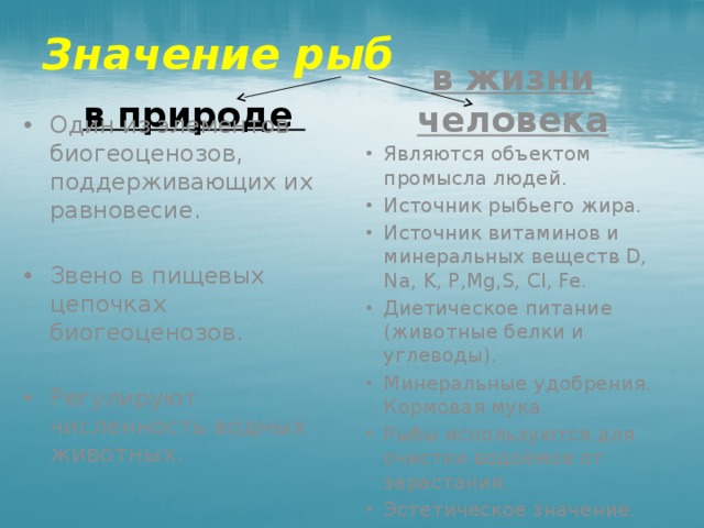 Многообразие и значение рыб в природе. Значение рыб в природе и жизни человека 7 класс биология. Значение рыб. Значение рыб в природе и жизни человека таблица. Схема значение рыб.