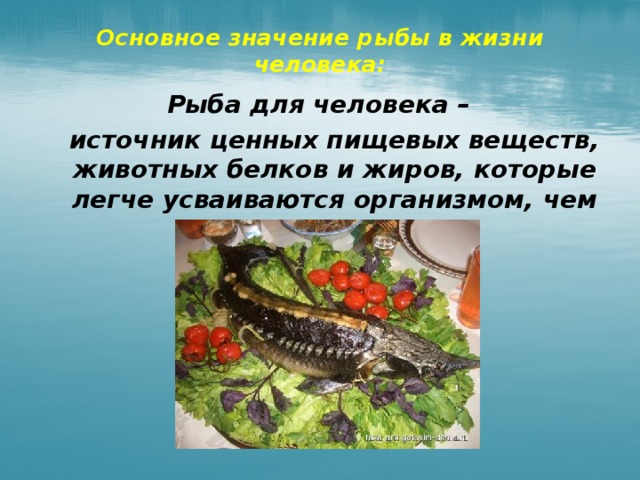 Значения рыб в природе и жизни человека. Польза рыбы для человека. Рыбы в жизни человека. Сообщение полезные свойства рыбы. Польза рыбы для детей.