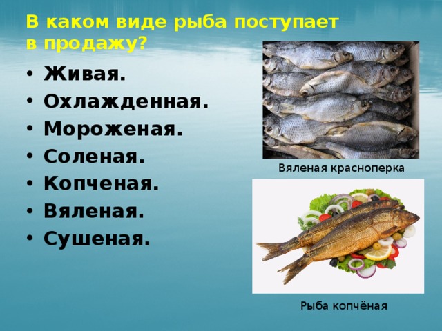 В силу какая рыба. Вяленая рыба виды. В каком виде поступает рыба. В каком виде поступает рыба на поп. В каком виде рыба поступает в продажу.