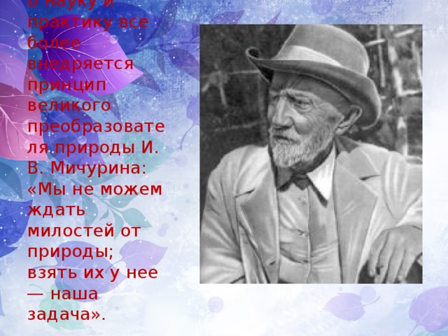 Взять у природы наша задача. Мичурин мы не можем ждать милости от природы. Мы не можем ждать милостей от природы взять их у нее наша задача. Мичурин взять от природы. Слова Мичурина о природе.