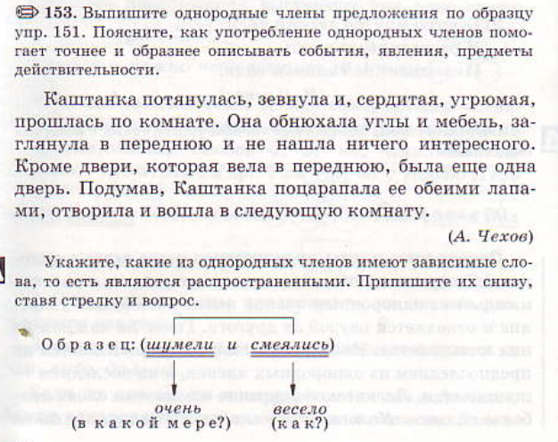 Каштанка обнюхала углы и двери заглянула в переднюю и не нашла ничего интересного схема