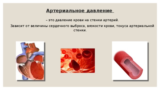Артериальное давление – это давление крови на стенки артерий. Зависит от величины сердечного выброса, вязкости крови, тонуса артериальной стенки. 