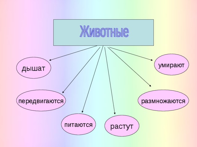 Животное живое существо схема 2 класс передвигается дышит