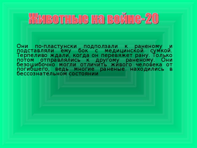 Они по-пластунски подползали к раненому и подставляли ему бок с медицинской сумкой. Терпеливо ждали, когда он перевяжет рану. Только потом отправлялись к другому раненому. Они безошибочно могли отличить живого человека от погибшего, ведь многие раненые находились в бессознательном состоянии 