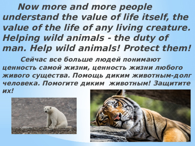  Now more and more people understand the value of life itself, the value of the life of any living creature. Helping wild animals - the duty of man. Help wild animals! Protect them!   Сейчас все больше людей понимают ценность самой жизни, ценность жизни любого живого существа. Помощь диким животным-долг человека. Помогите диким животным! Защитите их! 