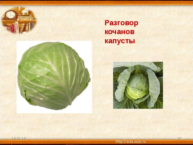 По кочану картинка