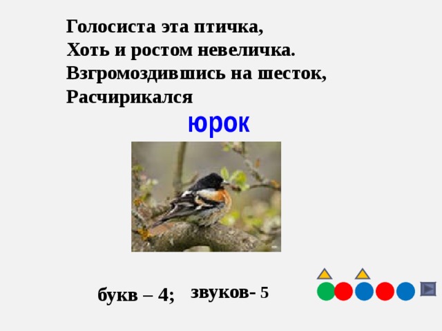 Количество звуков в слове птицы. Птица на букву ю. Загадка про Юрок. Юрок загадка для детей. Название птицы на букву ю.