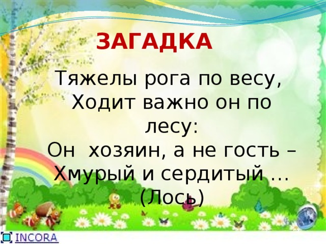 Тяжелые загадки. Ходит важно он по лесу. Ходит важный.. Загадка. Важно ходит.