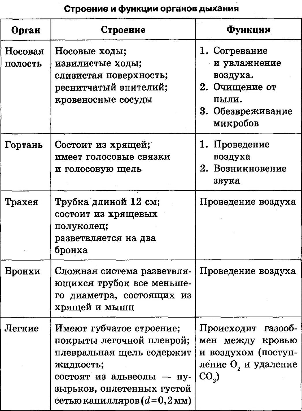 Органы имеющие единое происхождение общий план строения но выполняющие разные функции называются