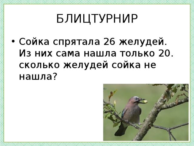 БЛИЦТУРНИР Сойка спрятала 26 желудей. Из них сама нашла только 20. сколько желудей сойка не нашла? 