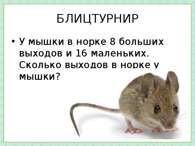 БЛИЦТУРНИР У мышки в норке 8 больших выходов и 16 маленьких. Сколько выходов в норке у мышки? 