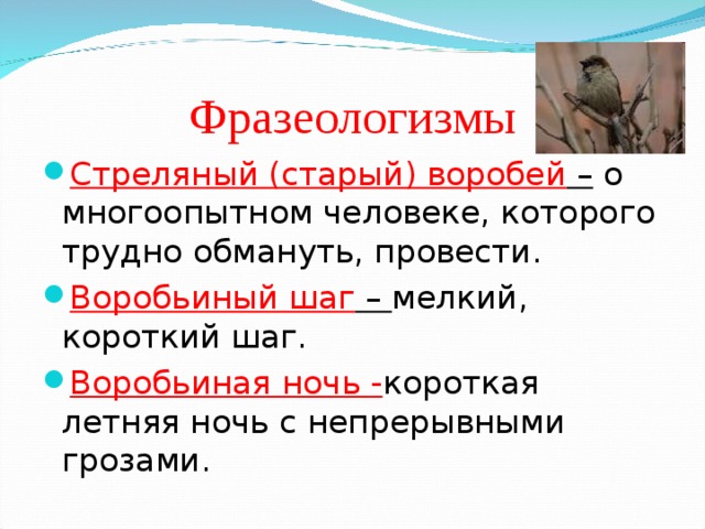 Картинка стреляный воробей