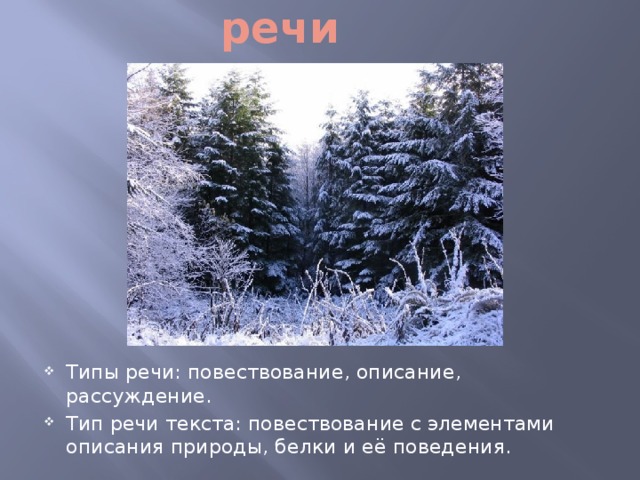 Тип речи Типы речи: повествование, описание, рассуждение. Тип речи текста: повествование с элементами описания природы, белки и её поведения. 