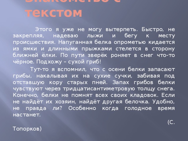 Знакомство с текстом  Этого я уже не могу вытерпеть. Быстро, не закрепляя, надеваю лыжи и бегу к месту происшествия. Напуганная белка опрометью кидается из ямки и длинными прыжками стелется в сторону ближней ёлки. По пути зверёк роняет в снег что-то чёрное. Подхожу – сухой гриб!  Тут-то я вспомнил, что с осени белки запасают грибы, накалывая их на сухие сучки, забивая под отставшую кору старых пней. Запах грибов белки чувствуют через тридцатисантиметровую толщу снега. Конечно, белки не помнят всех своих кладовок. Если не найдёт их хозяин, найдёт другая белочка. Удобно, не правда ли? Особенно когда голодное время настанет.  (С. Топорков) 