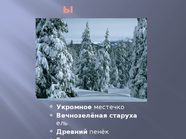 Эпитеты Укромное местечко Вечнозелёная старуха ель Древний пенёк Голодное время 