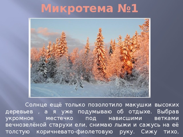 Микротема №1  Солнце ещё только позолотило макушки высоких деревьев , а я уже подумываю об отдыхе. Выбрав укромное местечко под нависшими ветками вечнозелёной старухи ели, снимаю лыжи и сажусь на её толстую коричневато-фиолетовую руку. Сижу тихо, посматриваю из засады вокруг. 