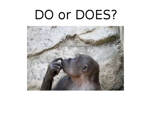 DO or DOES? 