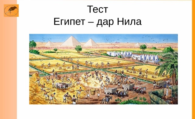 Тест  Египет – дар Нила 