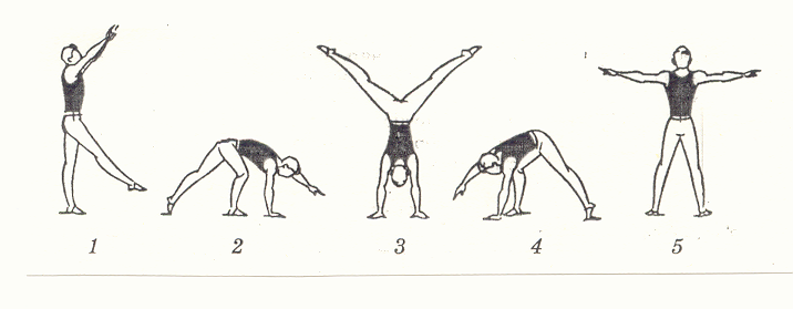 Переворот движения. Техника выполнения колеса в акробатике. Колесо техника выполнения гимнастика. Переворот боком колесо техника выполнения. Переворот в сторону колесо техника выполнения.