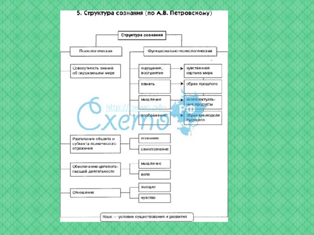 Структура сознания по в п зинченко схема