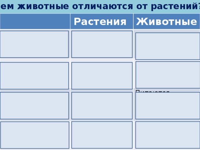 Чем животные отличаются от растений? Растения Органы Находятся снаружи Животные Продолжительность роста Большинство находится внутри Растут всю жизнь Способ питания Прекращается в определённое время Сами образуют органические вещества Способность передвигаться Питаются готовыми органическими веществами Прикреплены к одному месту Могут передвигаться 