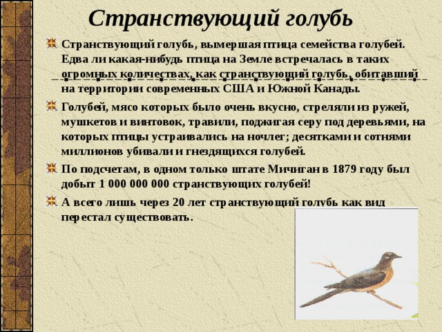 Странствующий голубь презентация