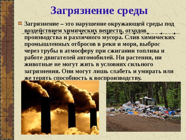 Трансграничное воздействие на окружающую среду. Загрязнение среды.