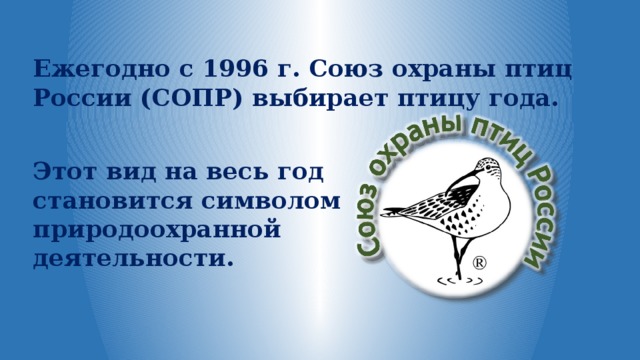 Ежегодно с 1996 г. Союз охраны птиц России (СОПР) выбирает птицу года. Этот вид на весь год становится символом природоохранной деятельности. 
