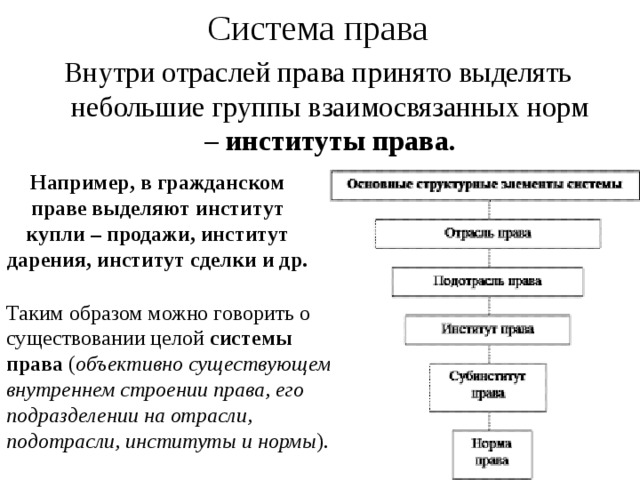 Система права Внутри отраслей права принято выделять небольшие группы взаимосвязанных норм – институты права. Например, в гражданском праве выделяют институт купли – продажи, институт дарения, институт сделки и др. Таким образом можно говорить о существовании целой системы права ( объективно существующем внутреннем строении права, его подразделении на отрасли, подотрасли, институты и нормы ).